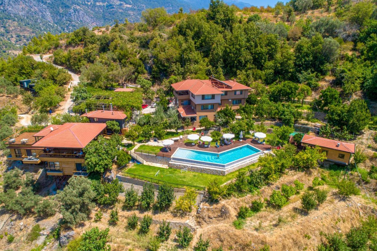Avena Mountain - Adults Only